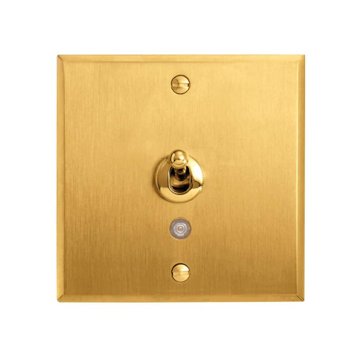 Legrand - ART wissel verlicht 10A - mémoire Geborsteld goud - AR67207-E⚡shock